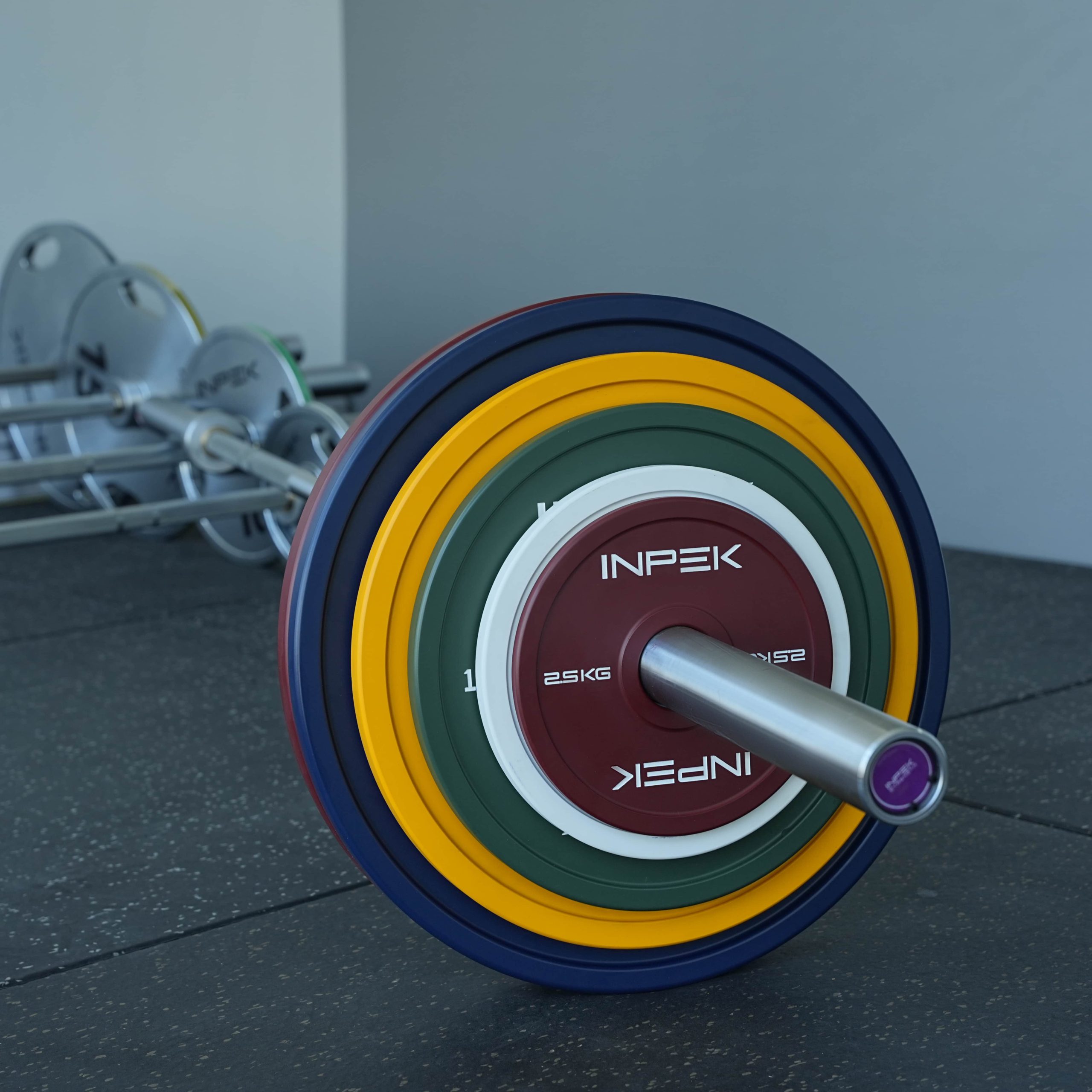 Bumper Plates - Image 6