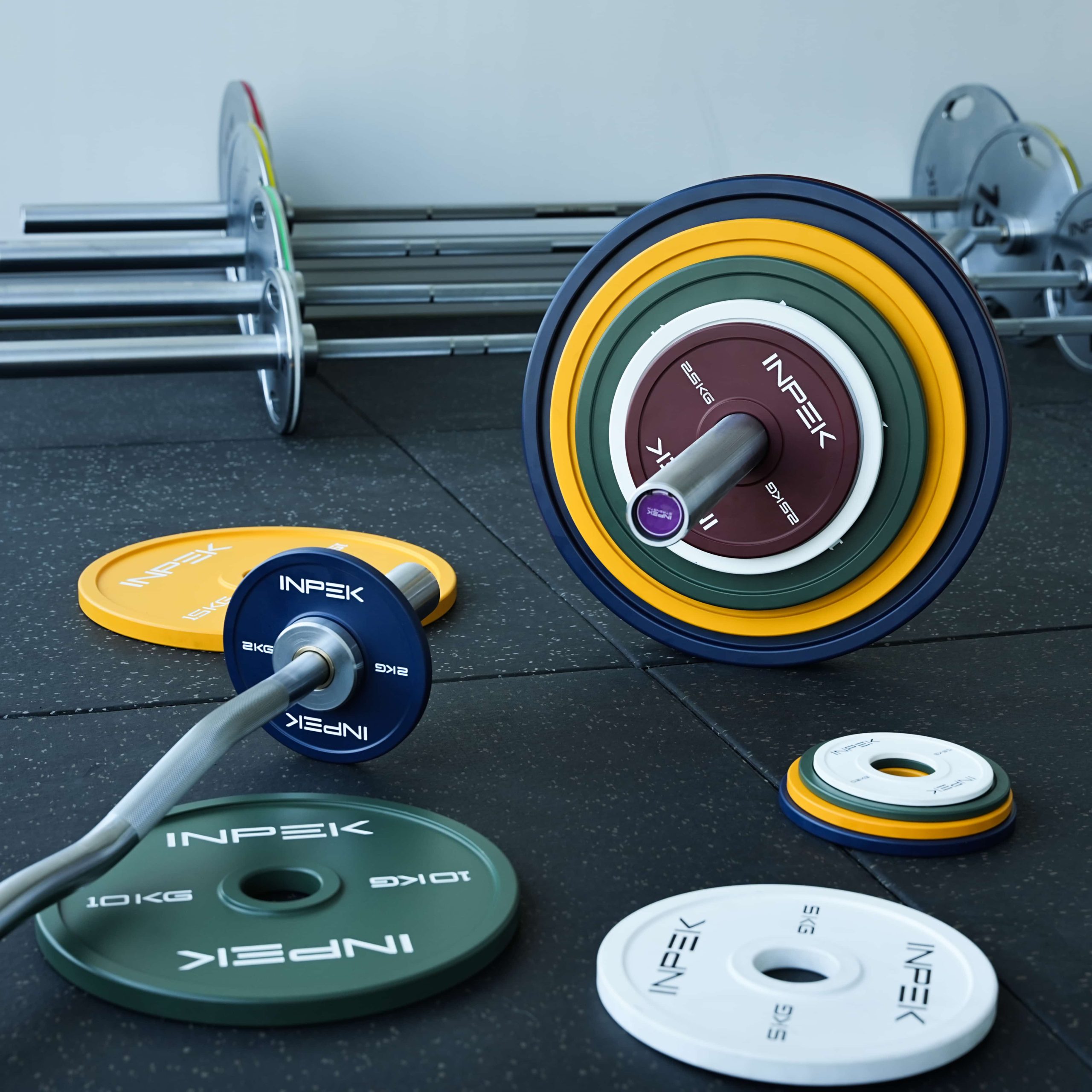 Bumper Plates - Image 2