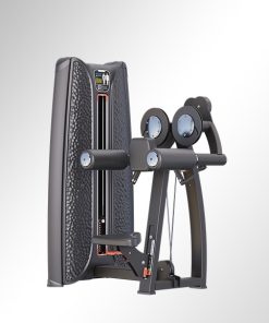 T37A03 Seated Lateral Raise