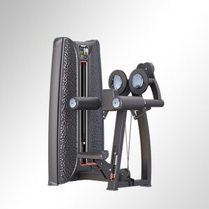 T37A03 Seated Lateral Raise