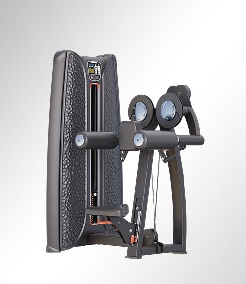 T37A03 Seated Lateral Raise