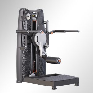 T37A16 Assisted Dip/Chinning