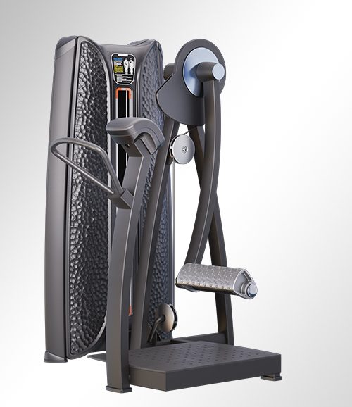 T37A21 Gluteus Maximus Trainer
