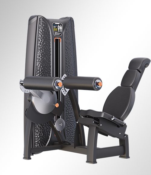 T37A25 Seated Leg Curl
