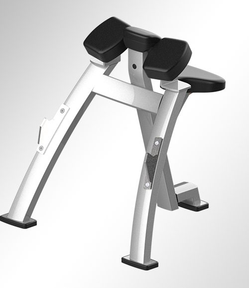 T3737 Preacher Curl Rack