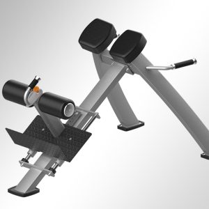 T3743 Adjustable Roman Bench