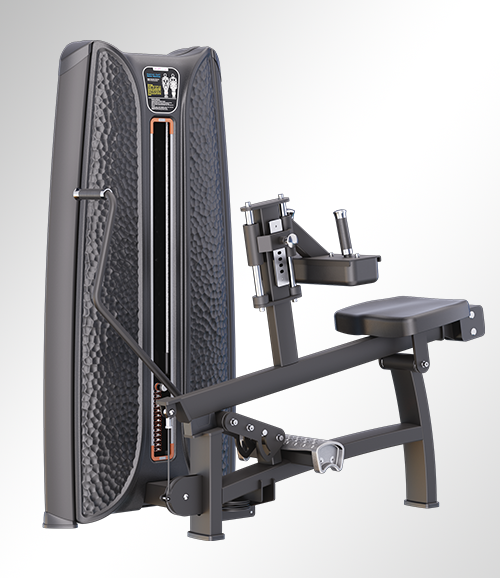 T37A30 Seated Calf