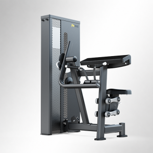 T17A10 biceps curl