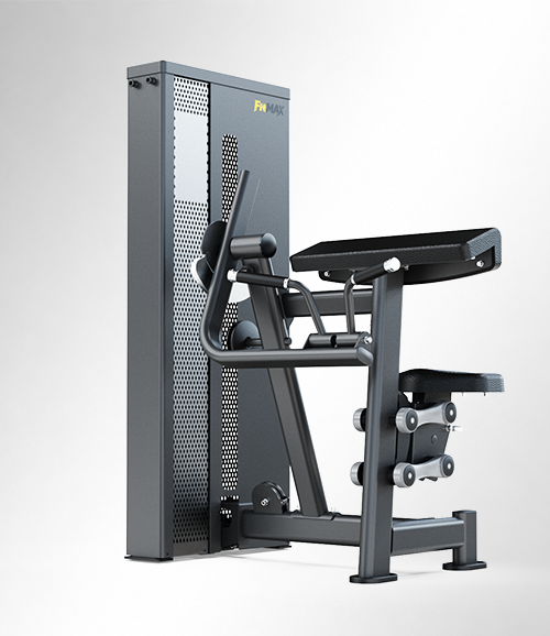 T17A10 biceps curl