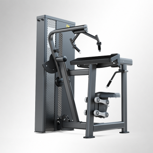 T17A12 triceps extension
